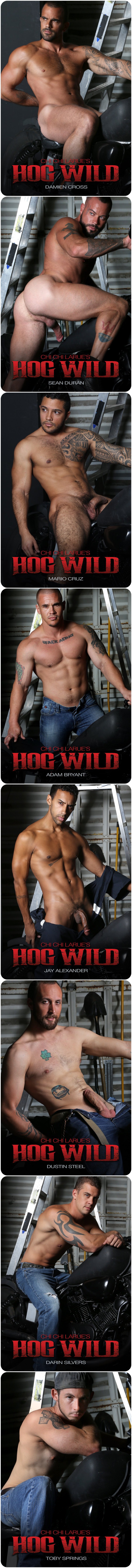 4-hog-wild