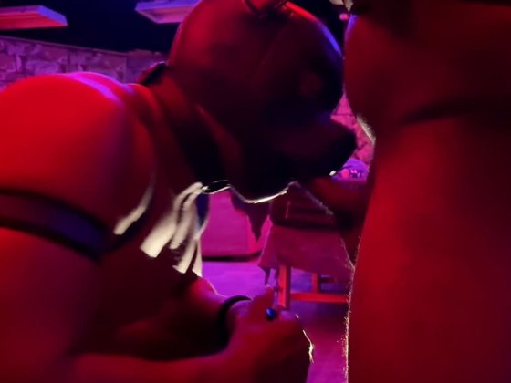 Private Playground XXX