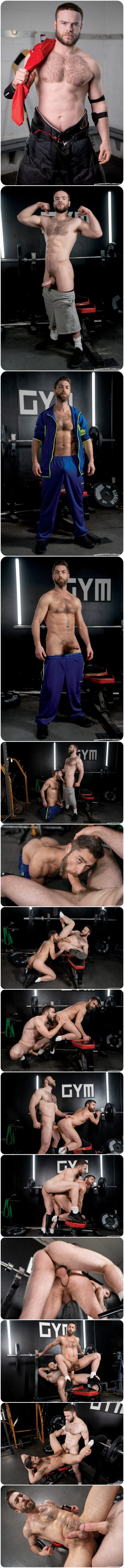 Raging Stallion, Only Matt, Marcus McNeil