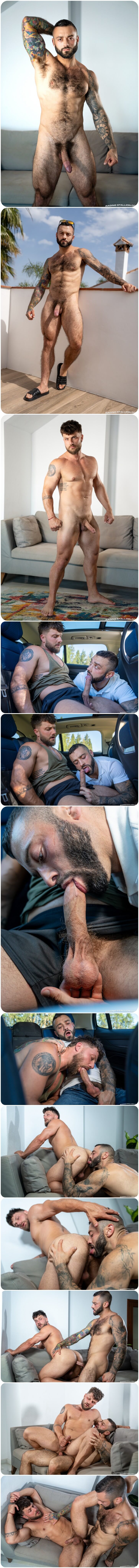 Raging Stallion, Drew Valentino, Heath Halo